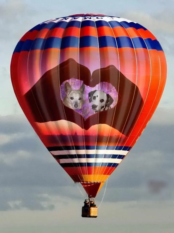 Condolence image of Michaela mit Nicko und Ariane ganz tief im ❤