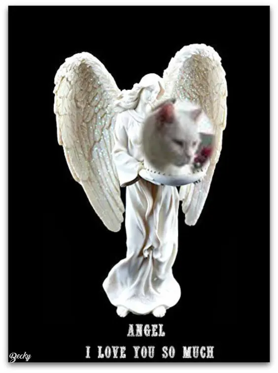 Condolence image of ❤️❤️❤️