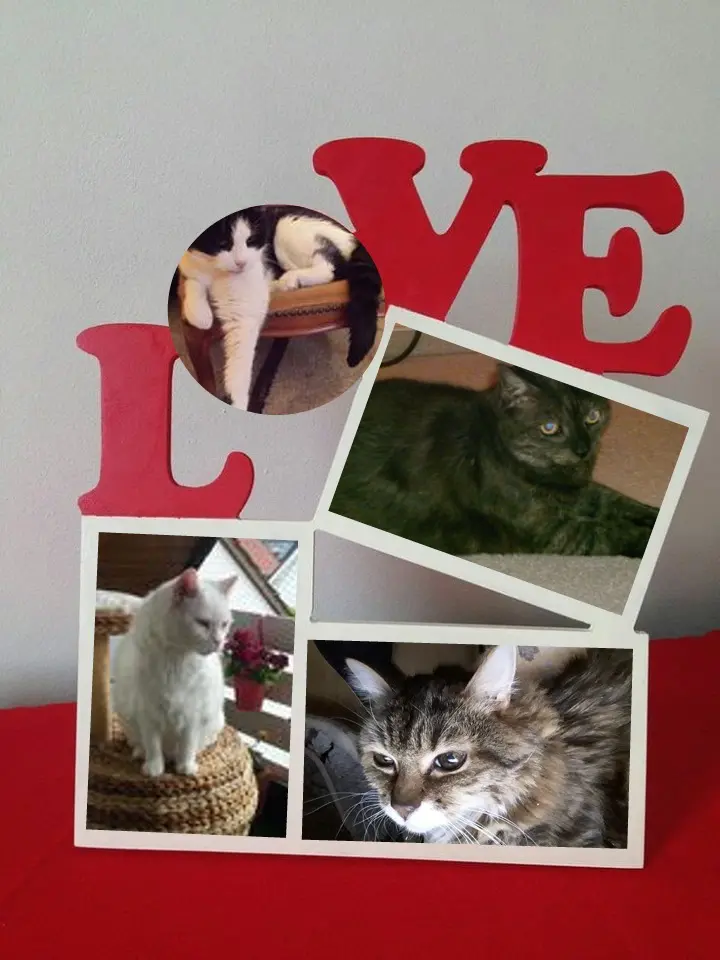 Condolence image of ❤️❤️❤️