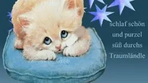 Condolence image of Unbekannt