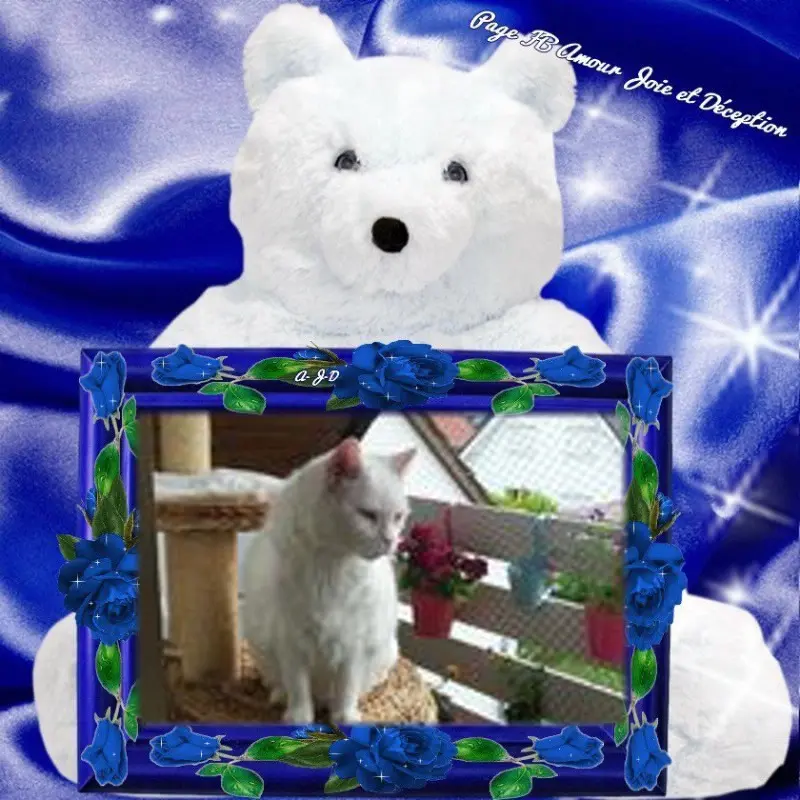 Condolence image of ❤️❤️❤️