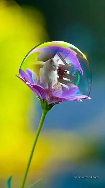 Condolence image of ❤️❤️❤️