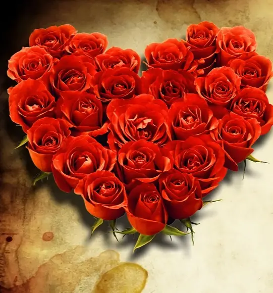 Condolence image of Rosen für den lieben Gismo