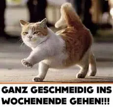 Condolence image of Brigitte mit Nelly, Benny und Axel im Herzen