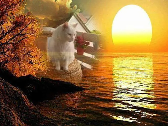 Condolence image of ❤️❤️❤️