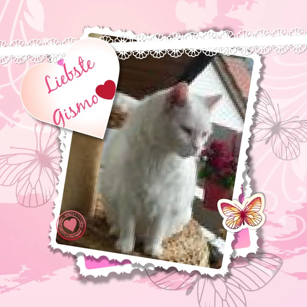 Condolence image of ❤️❤️❤️