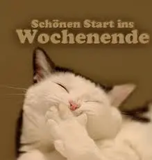 Condolence image of Eilpost von Nelly