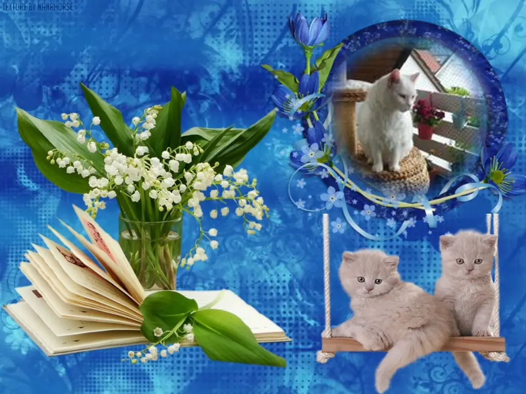 Condolence image of ❤️❤️❤️