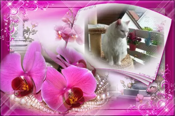 Condolence image of ❤️❤️❤️