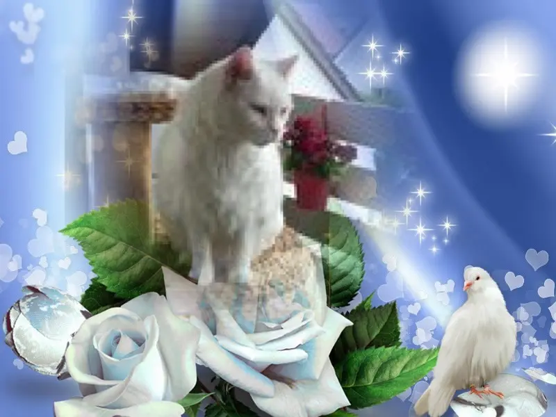 Condolence image of ❤️❤️❤️