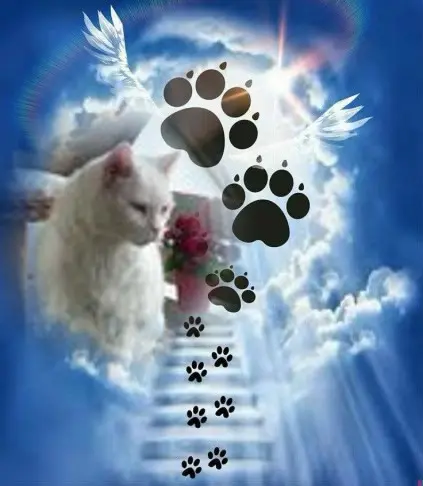 Condolence image of ❤️❤️❤️