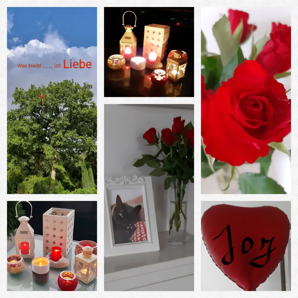 Condolence image of Anja mit Joy im Herzen ❤