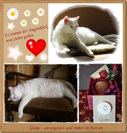 Condolence image of deiner Ilse zum 1. Sternchen-Gedenktag