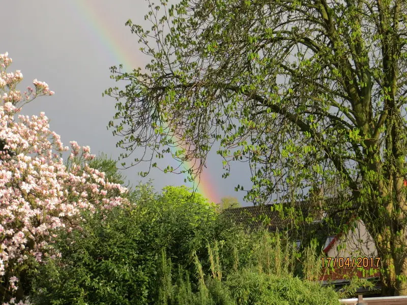 Condolence image of Ariane, Regenbogenland