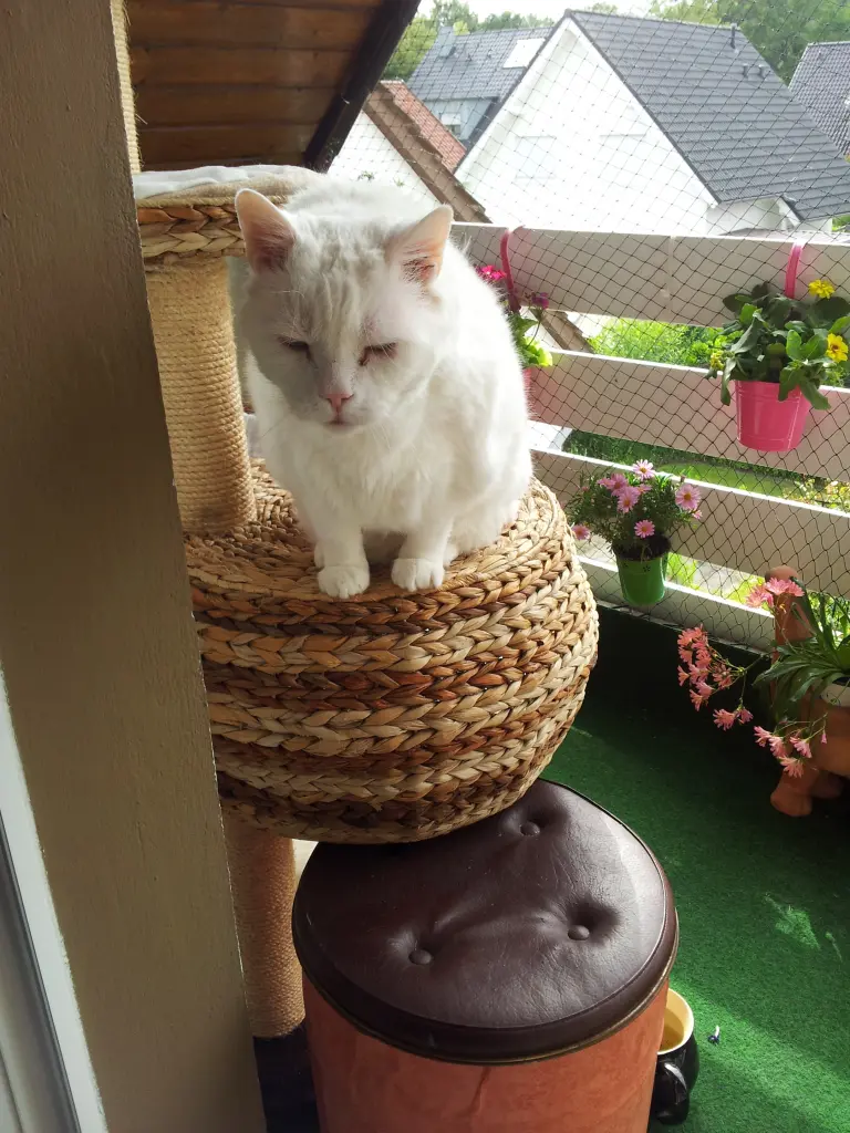 Condolence image of deiner Ilse in Liebe