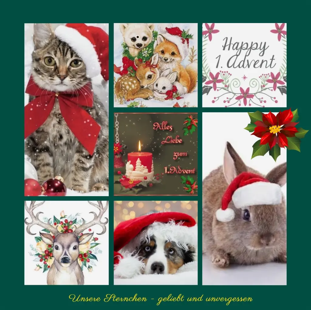 Condolence image of Herzliche Adventsgrüße