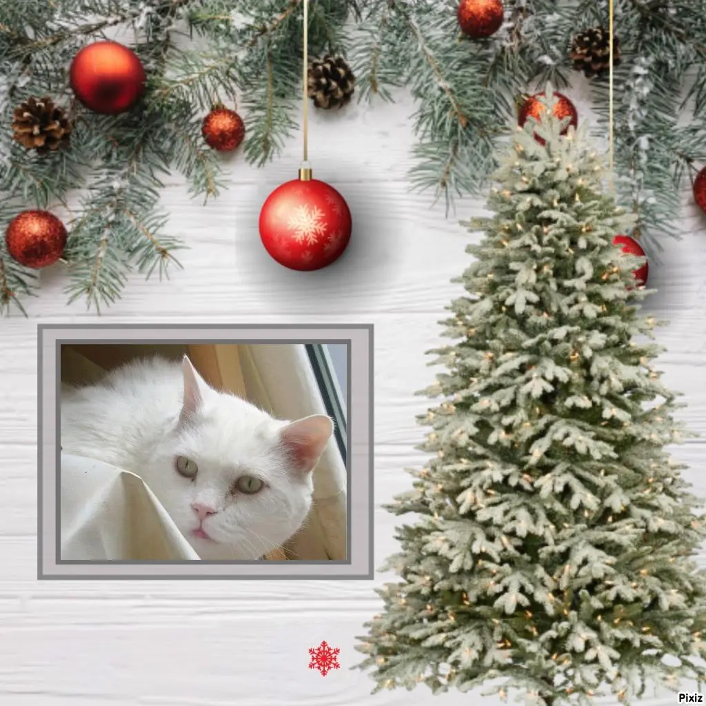 Condolence image of Jutta und Axel mit Purzel tief im Herzen ✟ 08.05.2016