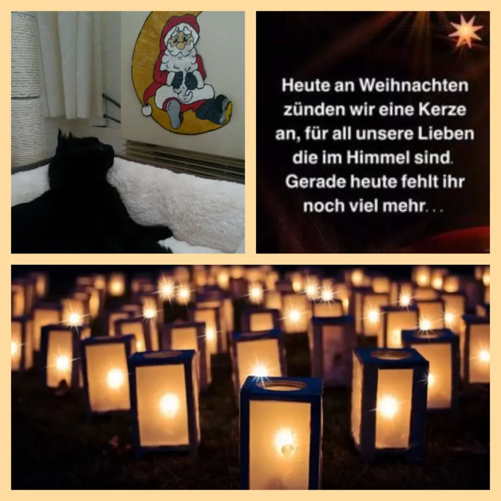 Condolence image of Anja mit Joy im Herzen ❤