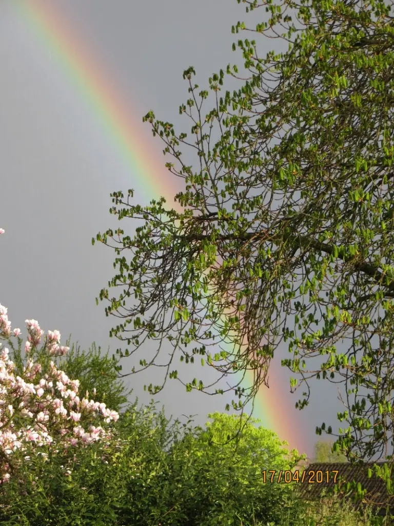 Condolence image of Fee,  Regenbogenland