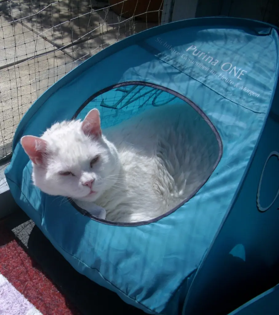 Condolence image of deiner Ilse in Liebe