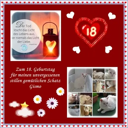 Condolence image of deiner Ilse zum 18. Geburtstag