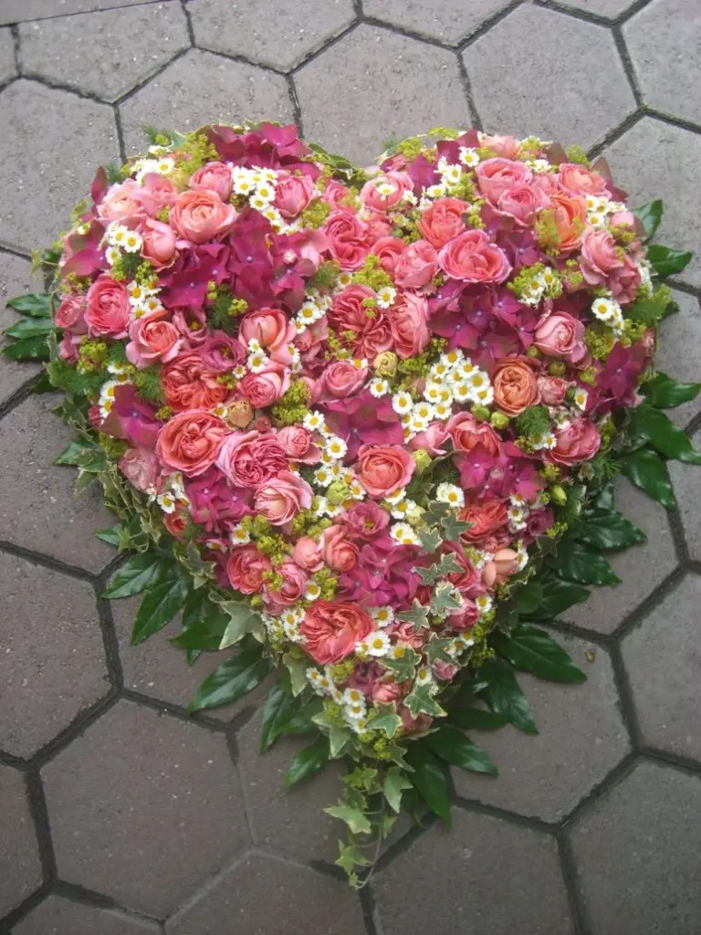 Condolence image of Eike und Edeltraud mit Mulle, Miezi ,Jonny und Felix tief im Herzen