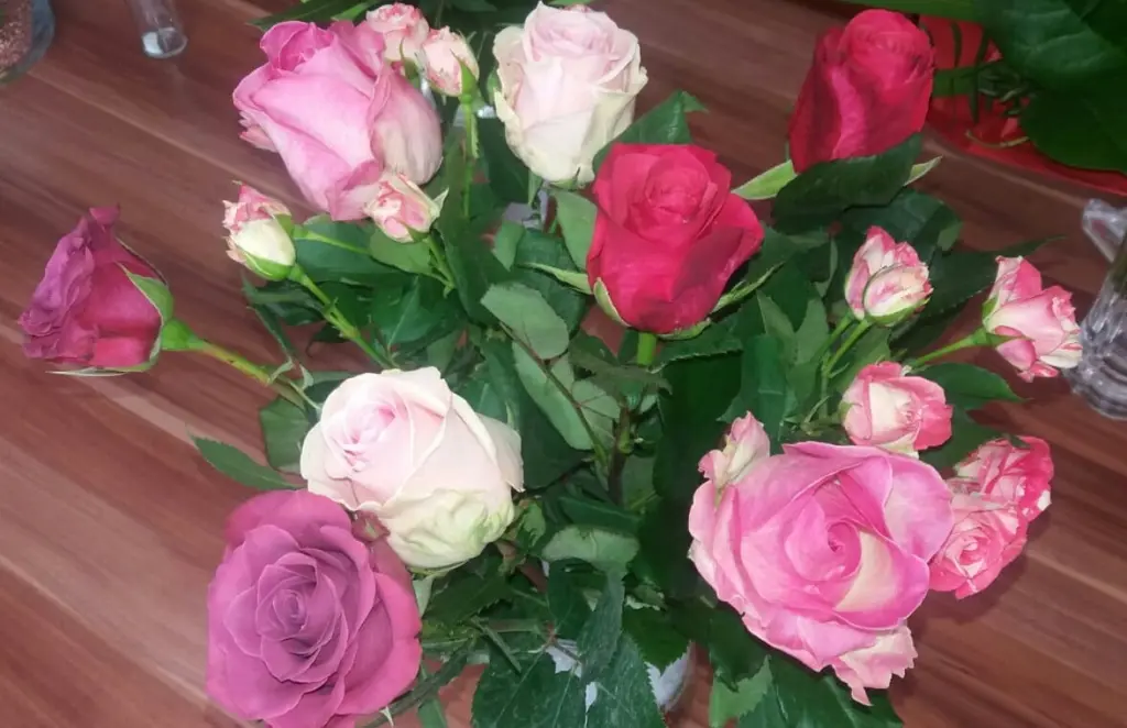 Condolence image of Eike und Edeltraud mit Mulle, Miezi, Jonny und Felix tief im Herzen