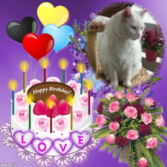 Condolence image of ❤️❤️❤️GEBURTSTAG KIND❤️GISMO❤️