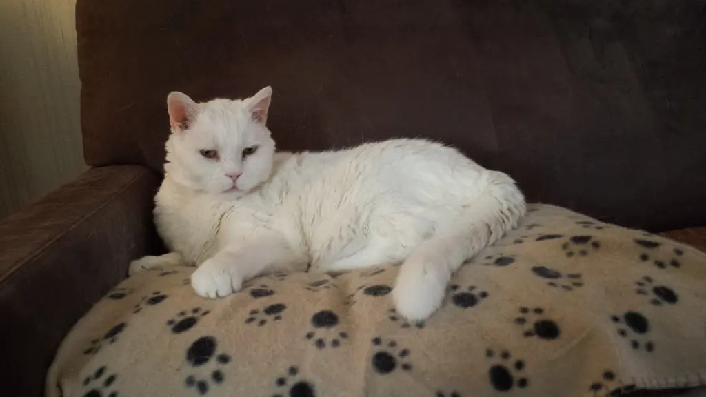 Condolence image of deiner Ilse in Liebe