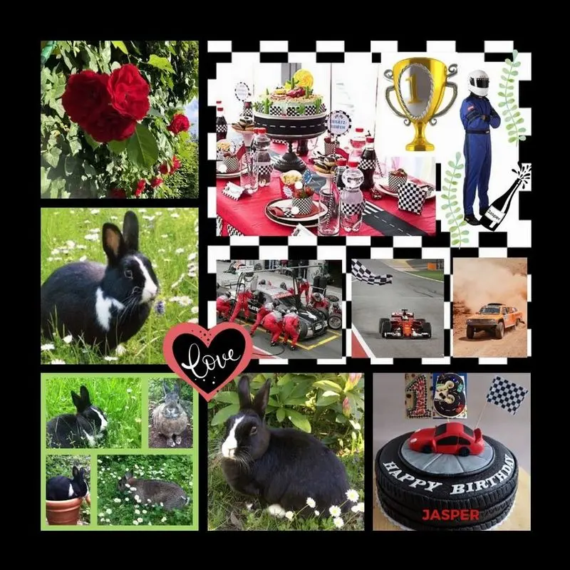 Condolence image of Rosen des Dankes an Gismo 