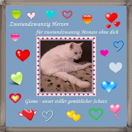 Condolence image of deiner Ilse, ein Jahr und 10 Monate ohne dich