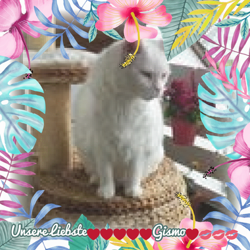 Condolence image of ❤️❤️❤️