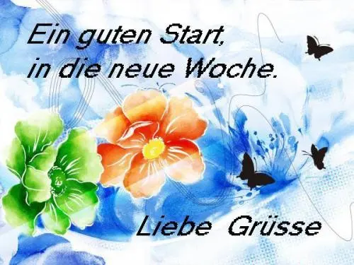 Condolence image of Montags Rosen für Gismo ♥️♥️