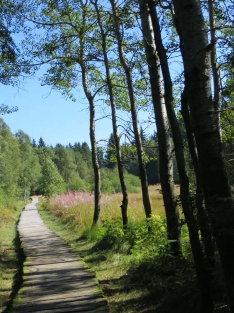 Condolence image of Axel aus dem  Regenbogenland