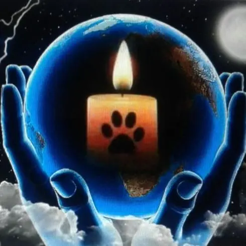 Condolence image of Tanja mit Timmy im Herzen 