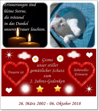 Condolence image of deiner Ilse zum 2. Jahres-Gedenken