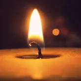 Condolence image of Marga mit Rambo im Herzen