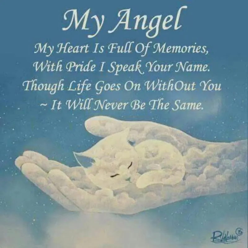 Condolence image of Tanja mit Timmy im Herzen 