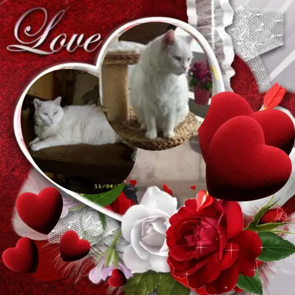 Condolence image of ❤️❤️❤️