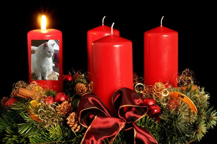 Condolence image of ❤️1. Advent❤️