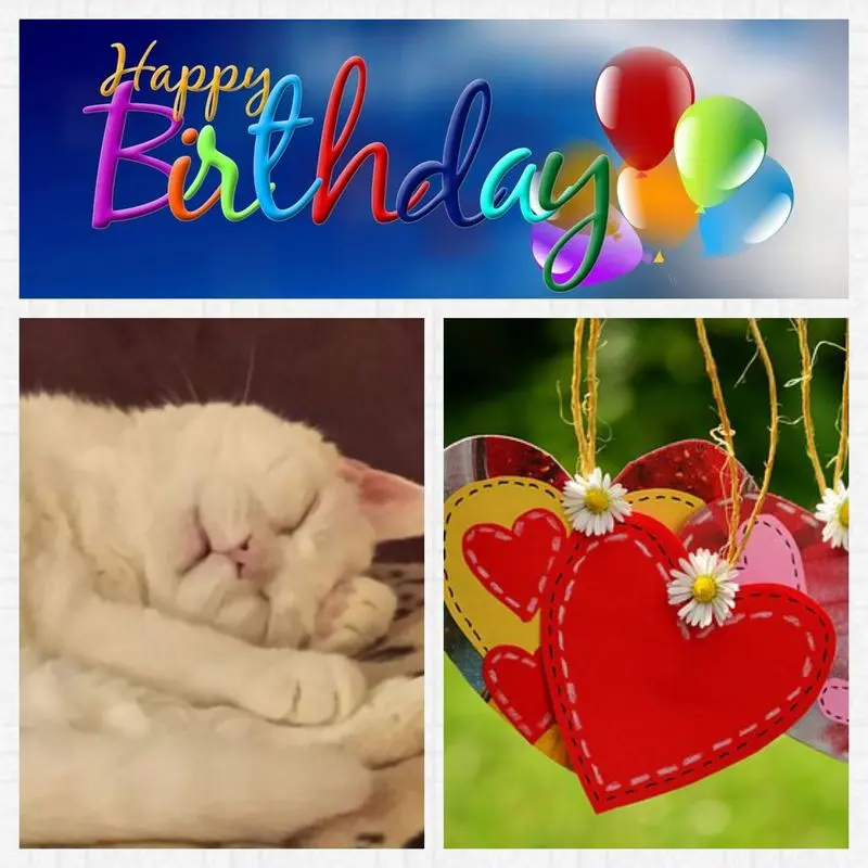 Condolence image of Anja mit Joy im Herzen 