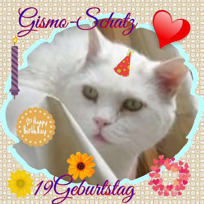 Condolence image of ❤Eike und Edeltraud mit unseren 7 Sternchen tief im Herzen ❤