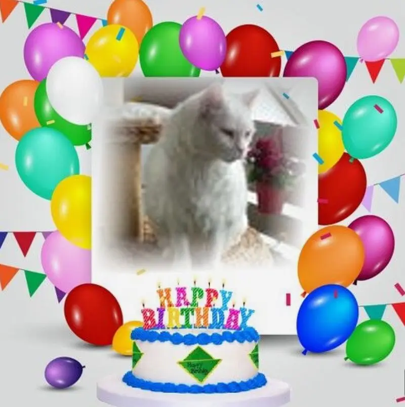 Condolence image of Zum Geburtstag❤️❤️❤️