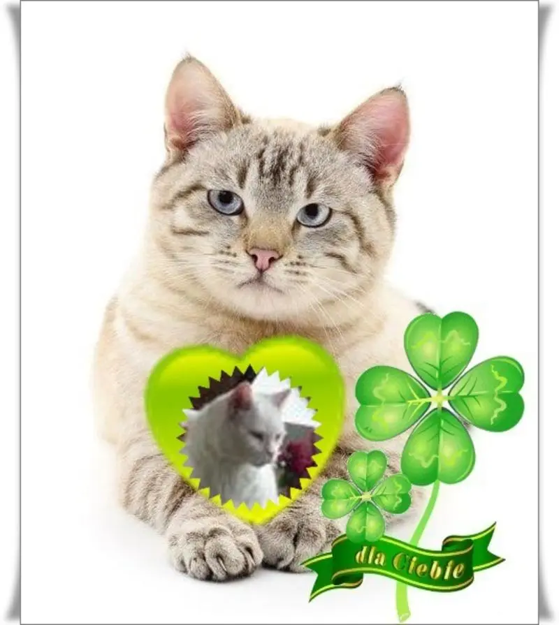 Condolence image of ❤️❤️❤️❤️❤️❤️❤️❤️❤️❤️❤️❤️❤️❤️