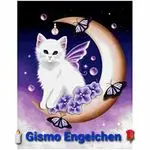 Condolence image of Tanja mit Timmy im Herzen 