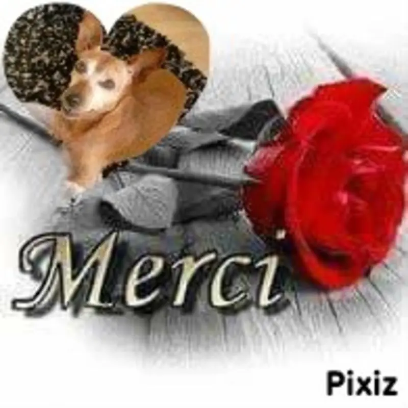 Condolence image of Purzel aus dem Regenbogenland