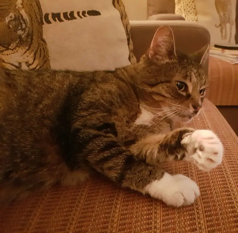 Condolence image of deiner Ilse in Liebe