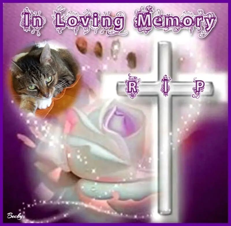 Condolence image of In Stillen Gedanken an Babsilein❤️