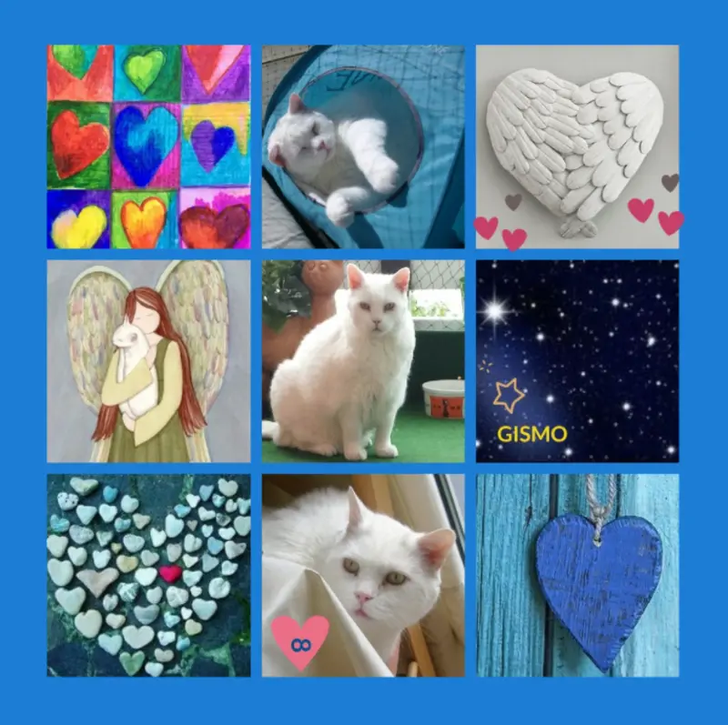 Condolence image of Rosen für Gismo zum 3. Sternchentag