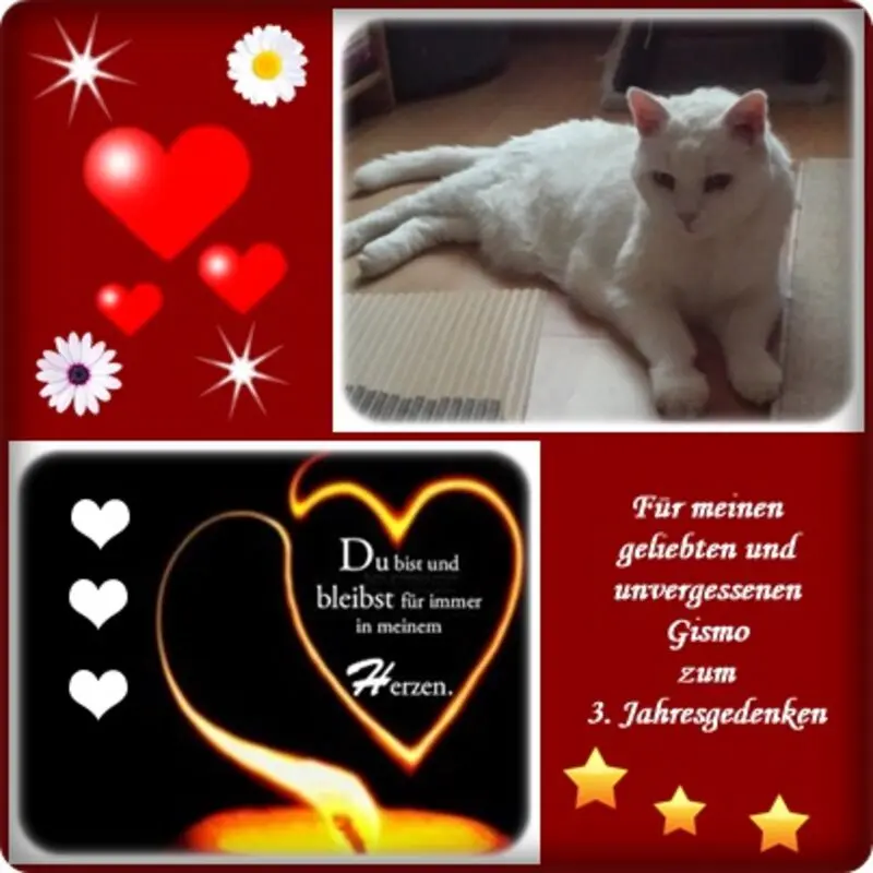 Condolence image of deiner Ilse zum 3. Jahresgedenken